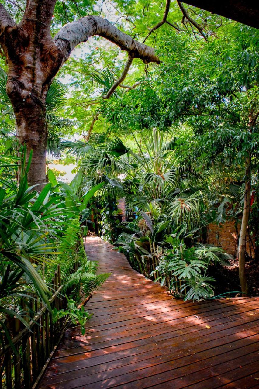 Bed and Breakfast Secret Garden Iguazu Пуерто-Іґуасу Екстер'єр фото